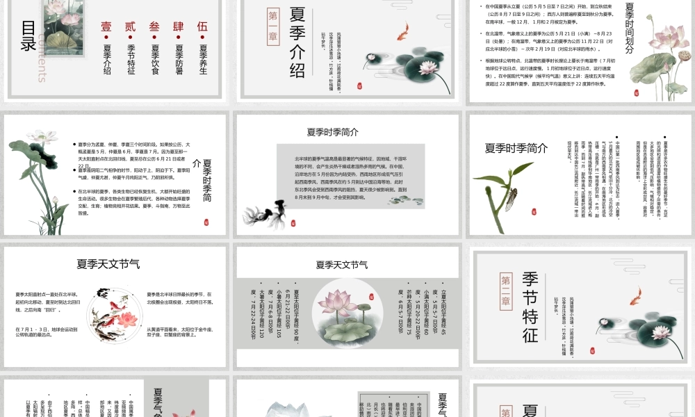 灰色水墨中国风夏季介绍.pptx