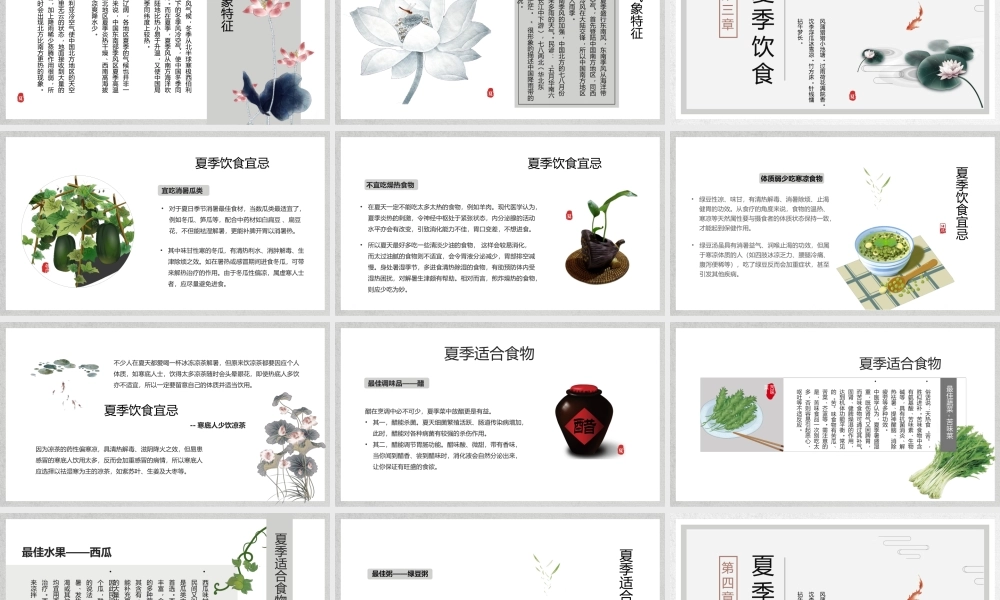 灰色水墨中国风夏季介绍.pptx
