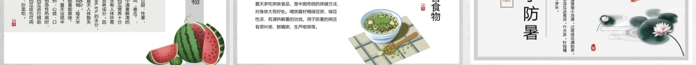 灰色水墨中国风夏季介绍.pptx