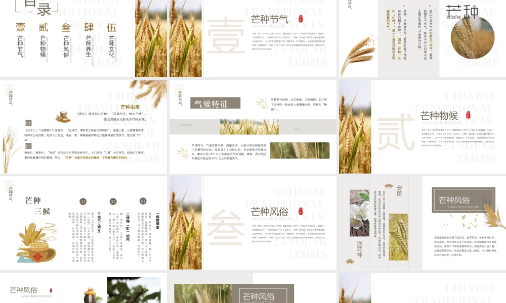 清新简约中国风传统节气之芒种.pptx