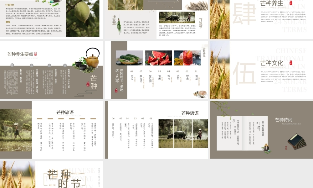 清新简约中国风传统节气之芒种.pptx