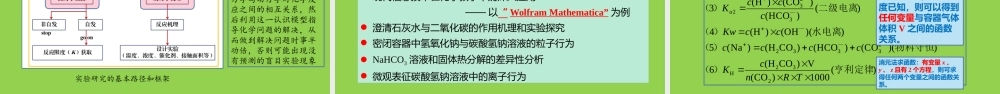 高中化学探究NaHCO3溶液.pptx