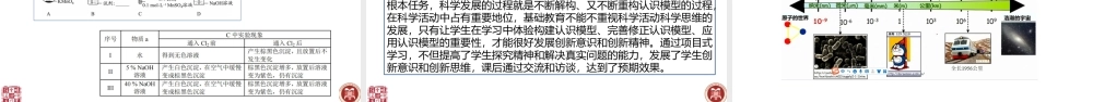高考化学电极反应平衡移动理论的项目式学习.pptx