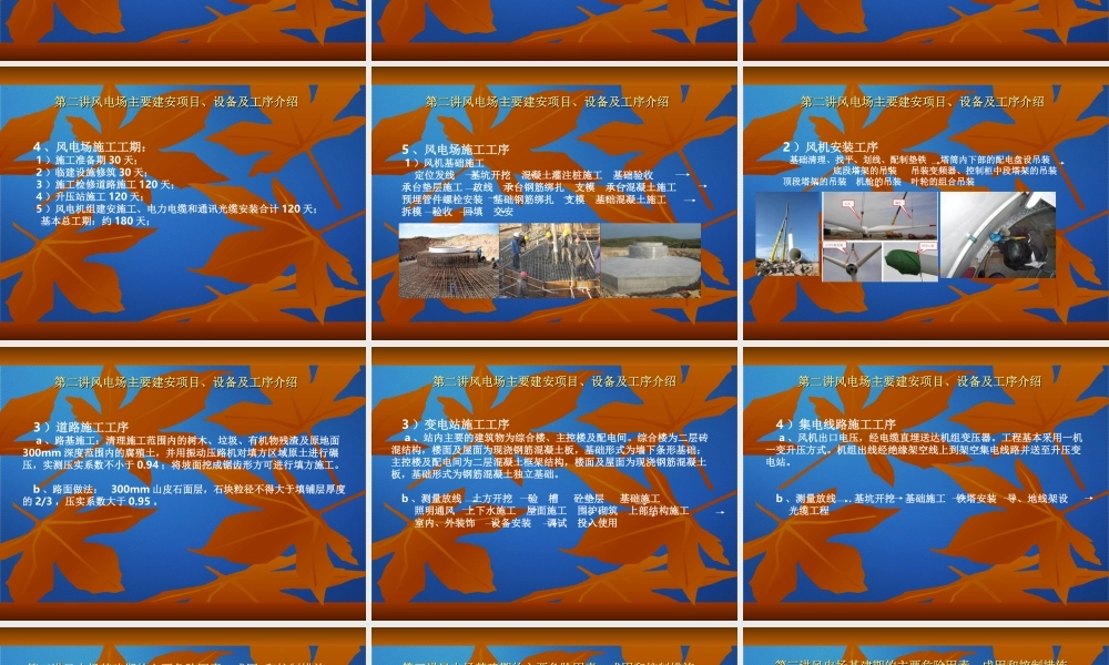 风电场安全管理.ppt