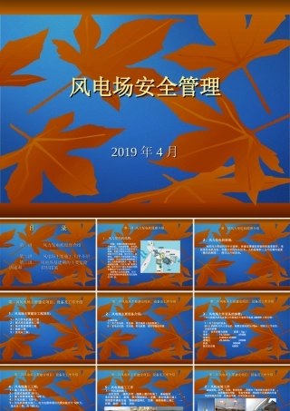 风电场安全管理.ppt