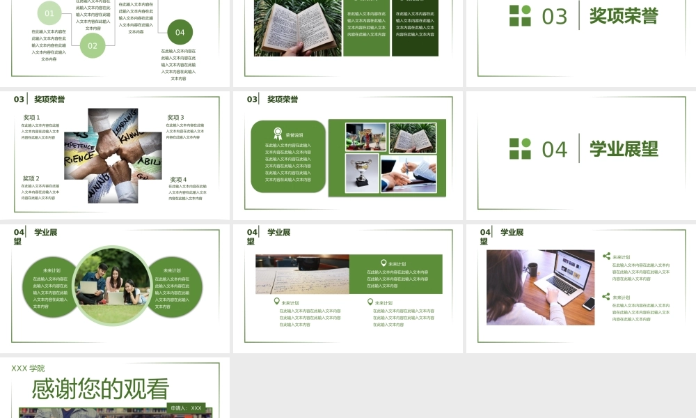 大学生国家奖学金竞选个人奖项荣誉展示PPT模板.pptx