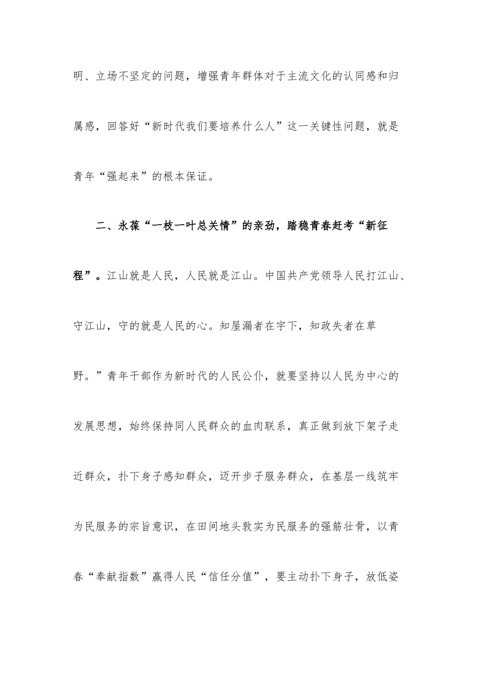 青年理论小组：让青春在新征程上书写光荣与梦想.docx_第3页