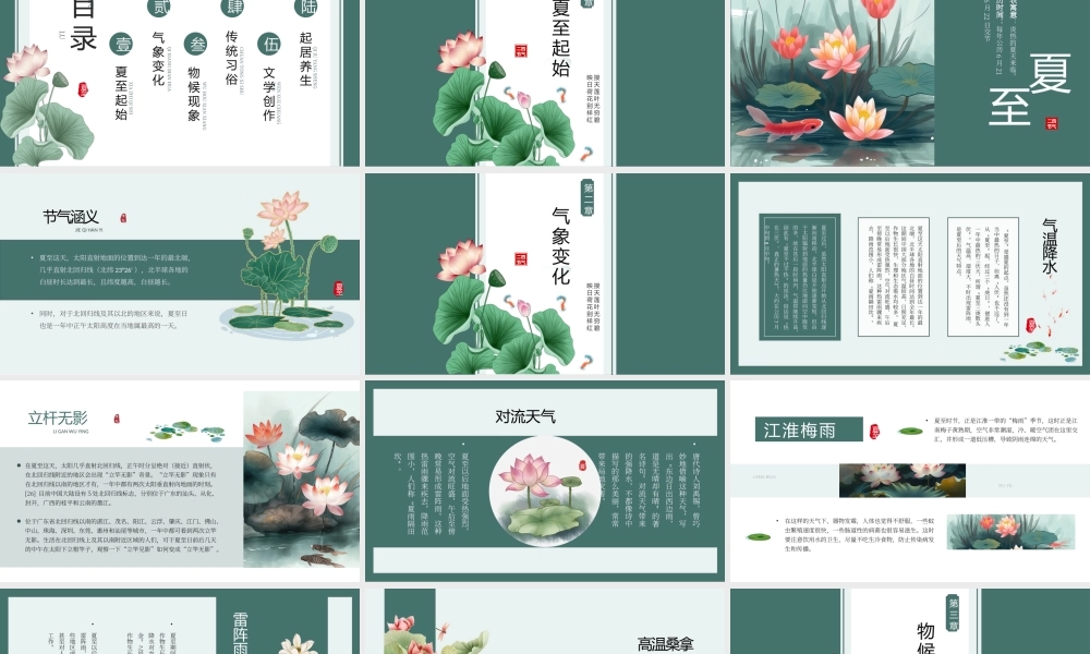 绿色中国风二十四节气之夏至.pptx