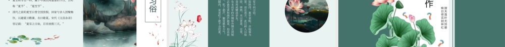 绿色中国风二十四节气之夏至.pptx