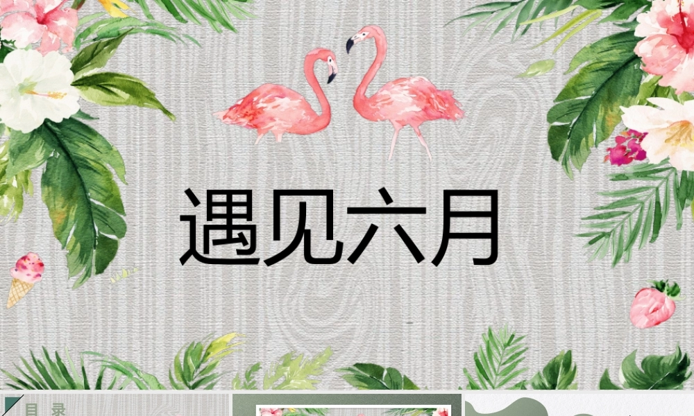 水彩花卉火烈鸟背景的遇见六月.pptx
