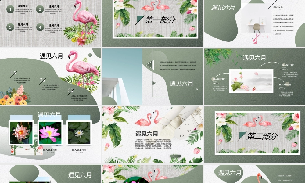 水彩花卉火烈鸟背景的遇见六月.pptx