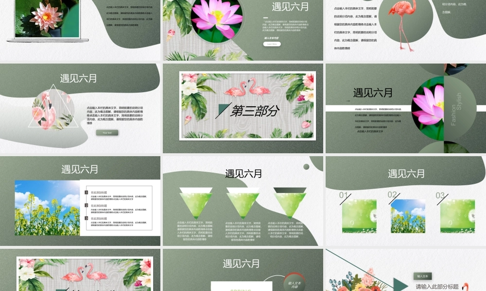 水彩花卉火烈鸟背景的遇见六月.pptx