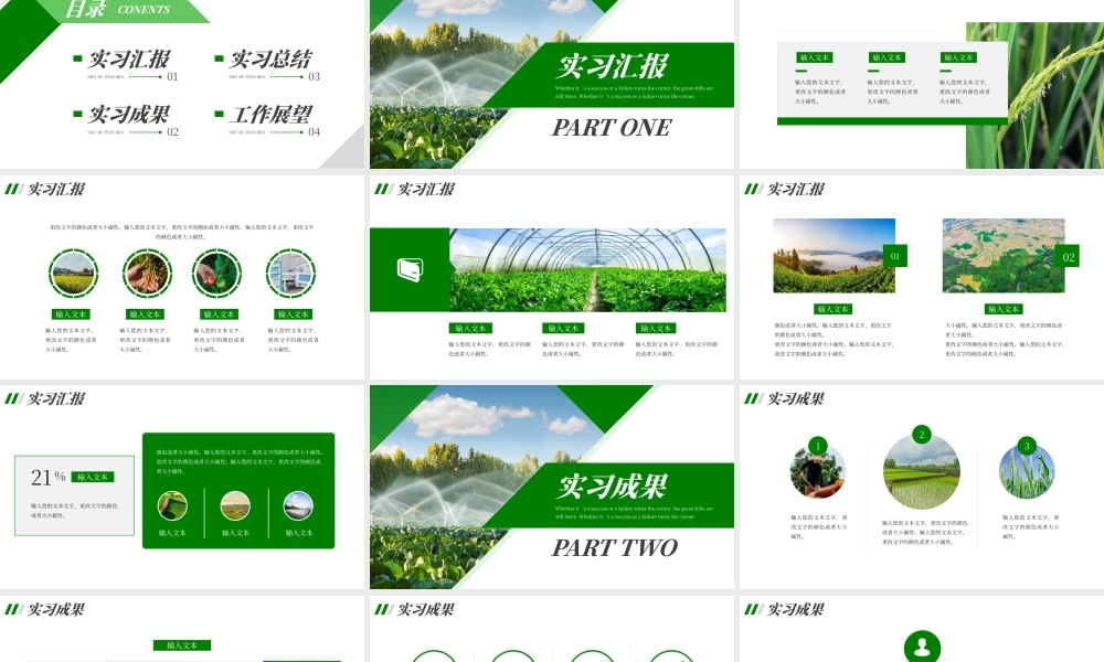绿色农业创新实习工作报告PPT模板.pptx