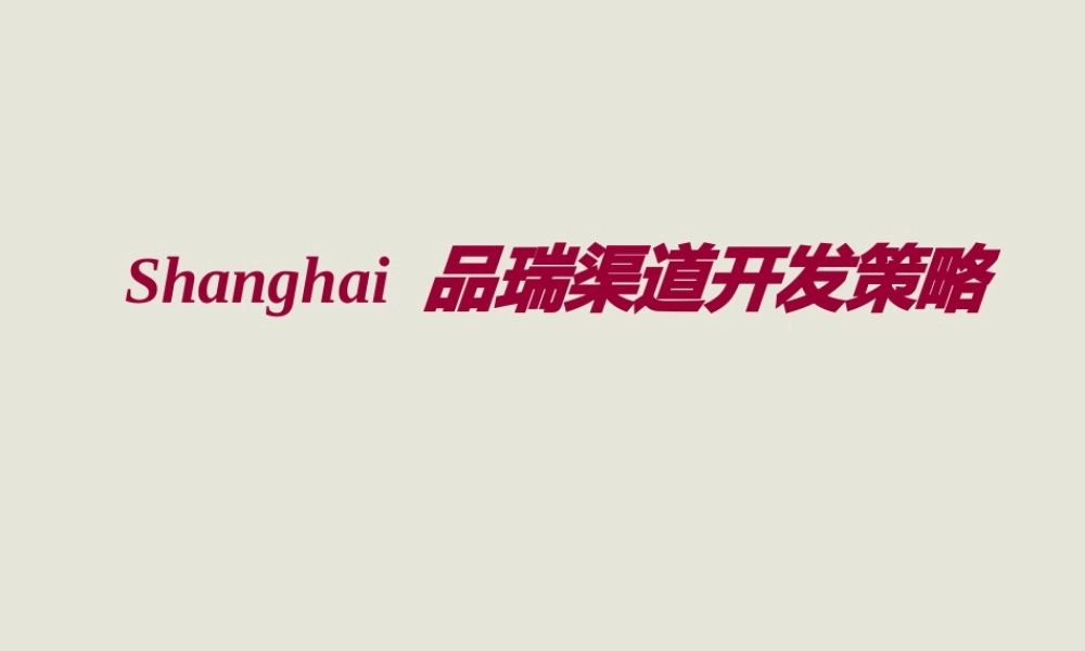 分销渠道策略.pptx