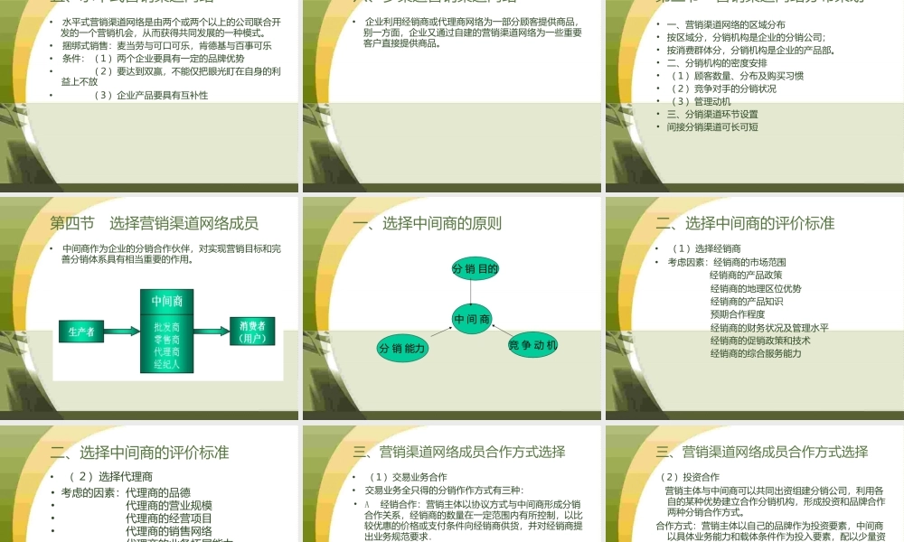 营销渠道网络策划培训.pptx