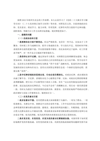 20XX年度组织生活会个人对照检查材料.docx