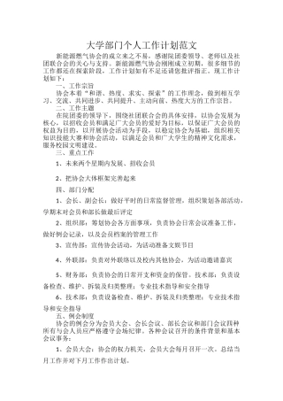 大学部门个人工作计划范文.docx