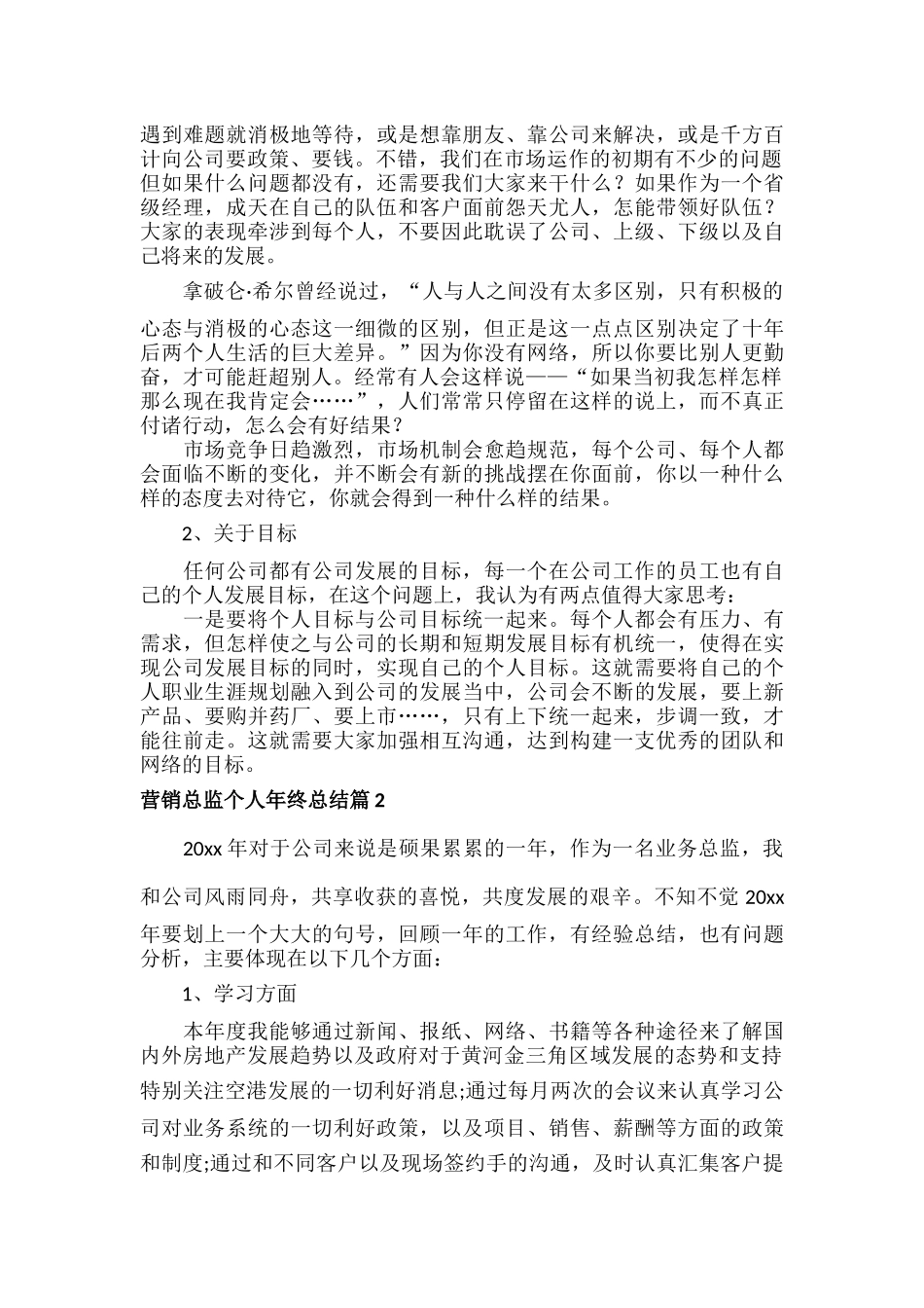 营销总监个人年终总结范文四篇.docx_第2页