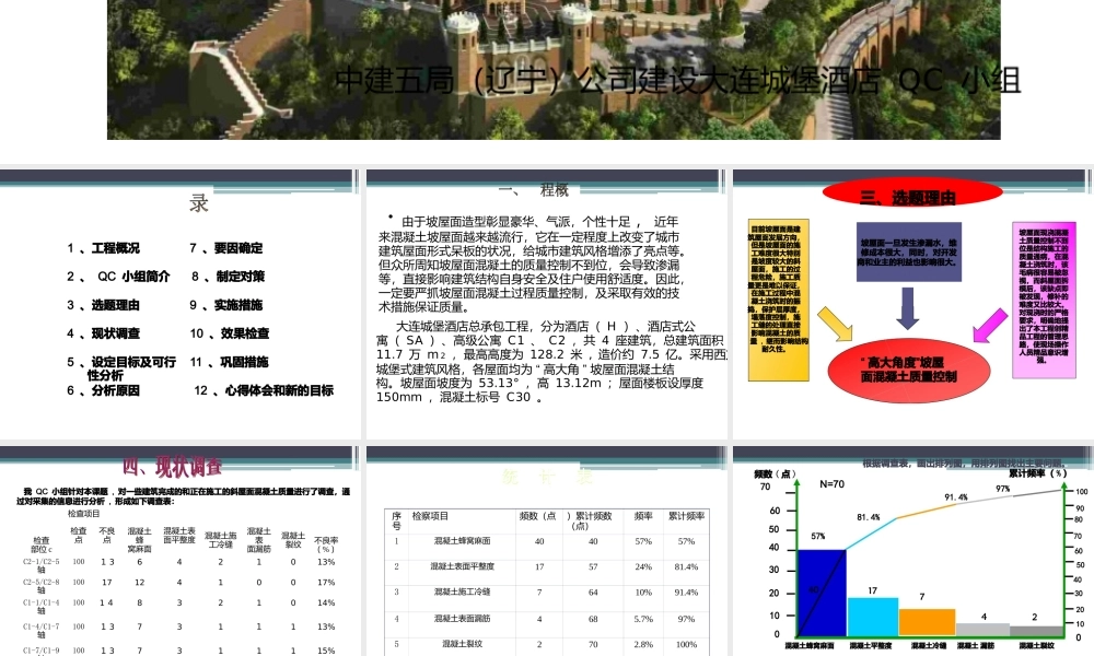 高大角度坡屋面混凝土质量控制.pptx