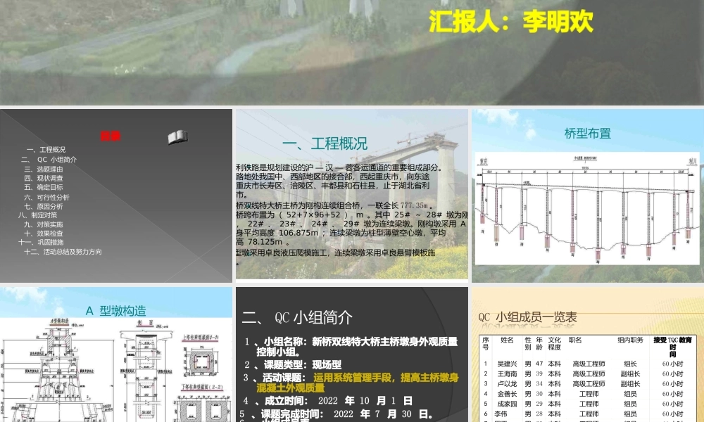 渝利铁路新桥双线特大桥主桥墩身外观质量控制.pptx