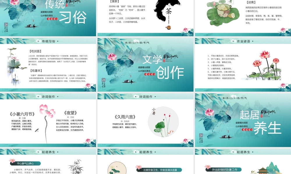 绿色中国风二十四节气之小暑.pptx