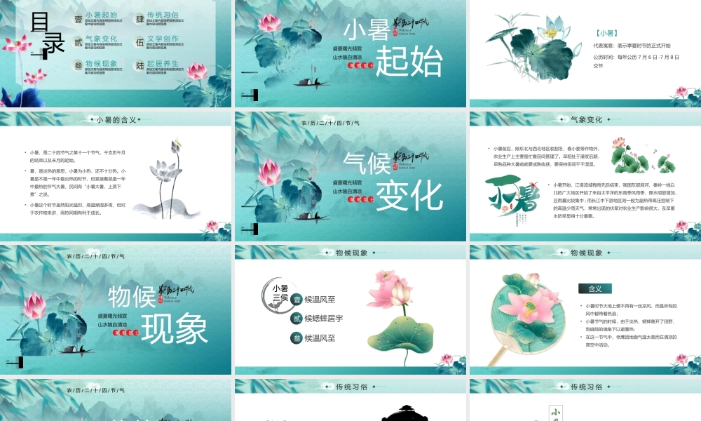 中国风二十四节气之小暑PPT模板.pptx