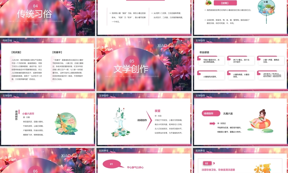 二十四节气之小暑介绍PPT模板（含具体内容）.pptx