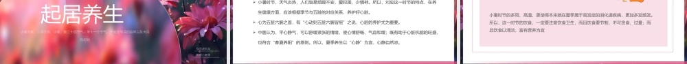 二十四节气之小暑介绍PPT模板（含具体内容）.pptx