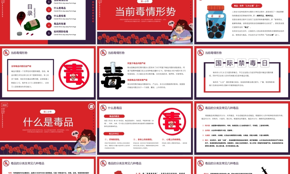 识毒防毒拒毒禁毒宣传教育PPT模板（含具体内容）.pptx