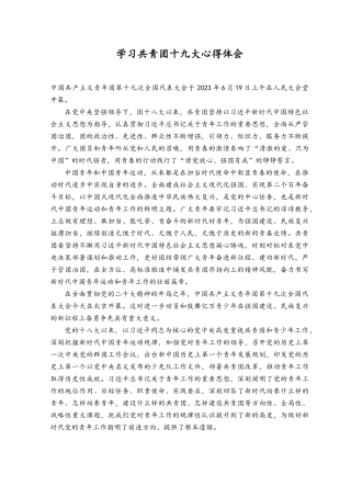 （2篇）学习共青团第十九次全国代表大会心得体会.docx