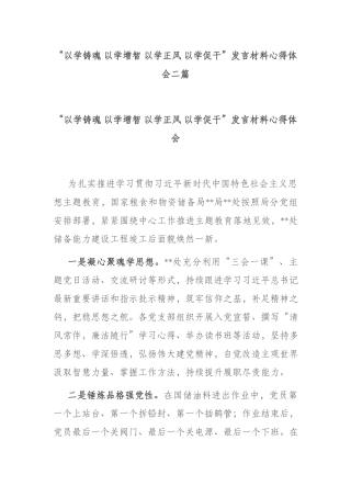 “以学铸魂 以学增智 以学正风 以学促干”发言材料心得体会二篇.docx
