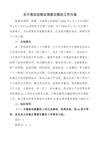 巡察反馈意见整改工作实施方案（问题）.docx