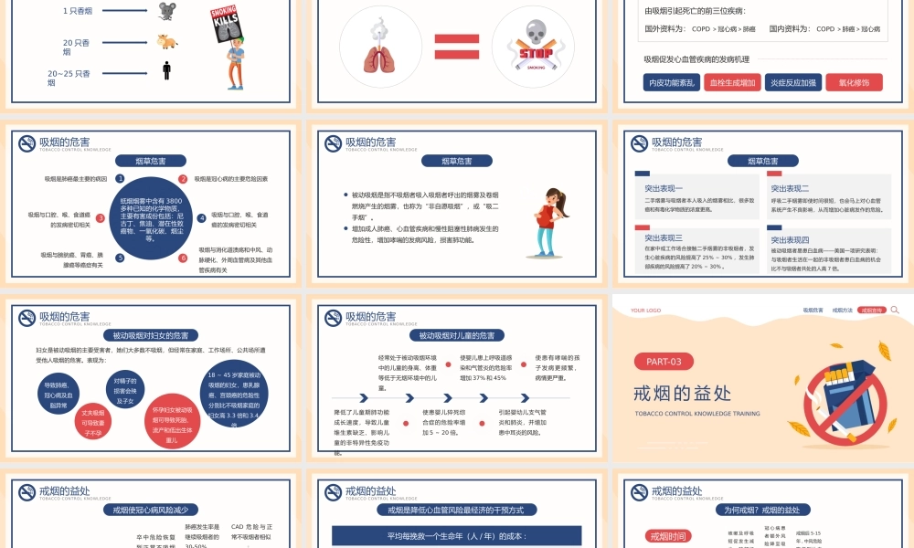 卡通风禁烟控烟知识培训PPT模板 - 副本.pptx