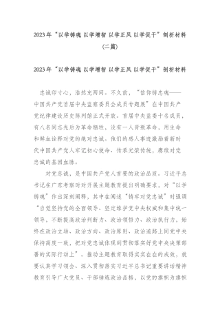 2023年“以学铸魂 以学增智 以学正风 以学促干”剖析材料(二篇).docx