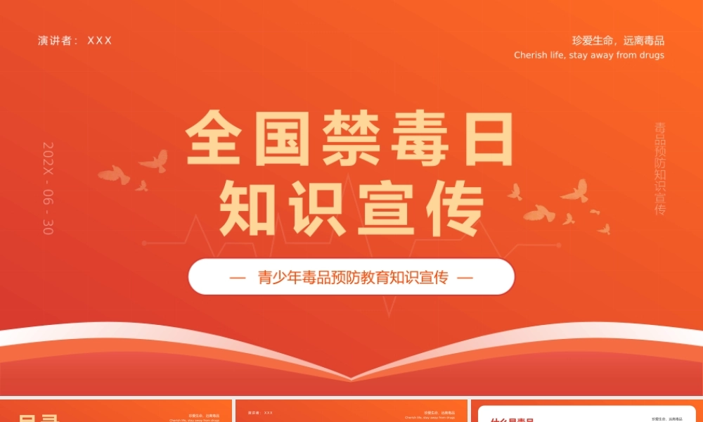 禁毒日公益主题班会PPT模板.pptx