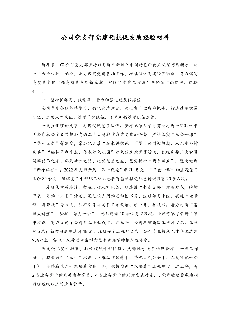 2023年公司党支部党建领航促发展经验材料.docx_第1页