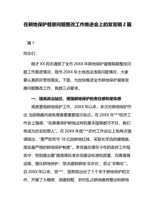 在耕地保护督察问题整改工作推进会上的发言稿2篇.docx