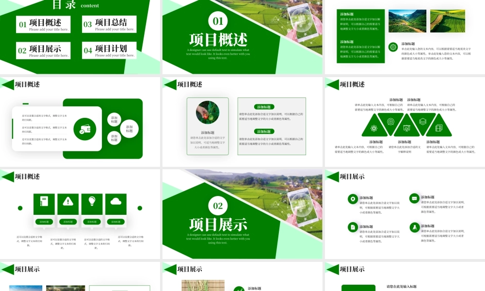 绿色大气农业项目计划书PPT模板.pptx