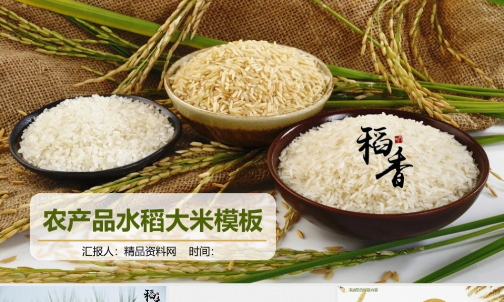 稻穗和三碗大米背景的稻香主题PPT模板.pptx
