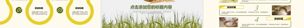 稻穗和三碗大米背景的稻香主题PPT模板.pptx