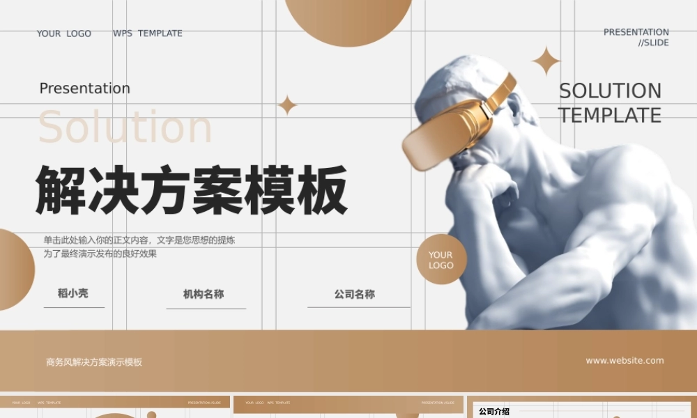 商务风解决方案.pptx