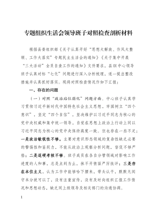 组织生活会领导班子对照检查剖析材料.docx