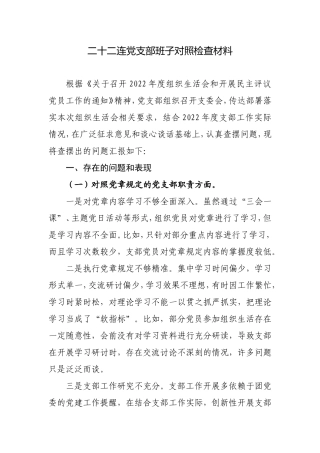 支部班子对照检查材料.doc