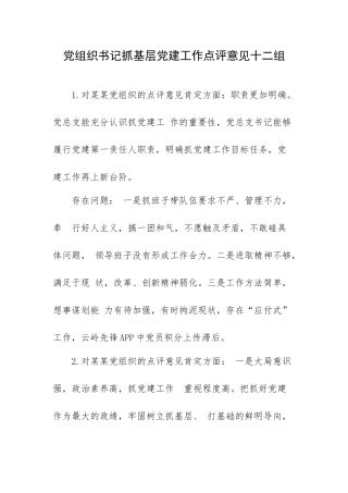 党组织书记抓基层党建工作点评意见十二组.docx