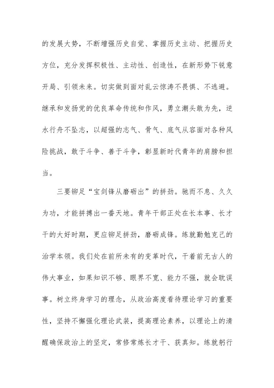 主题党日发言材料：铆足四股劲 担起新使命.docx_第3页