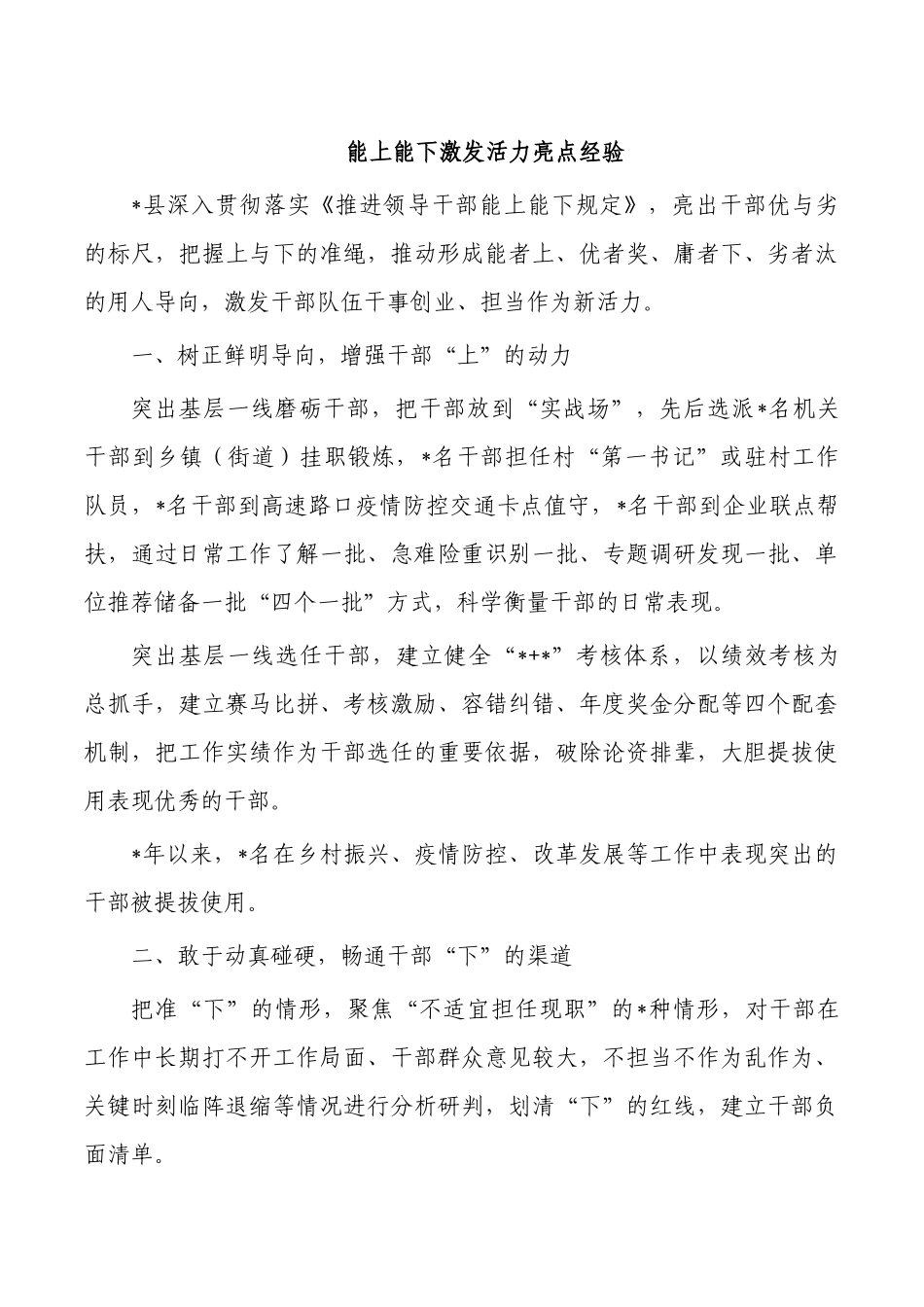 能上能下激发活力亮点经验.docx_第1页