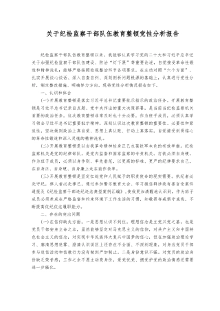 2023年纪检监察干部党性分析报告.docx