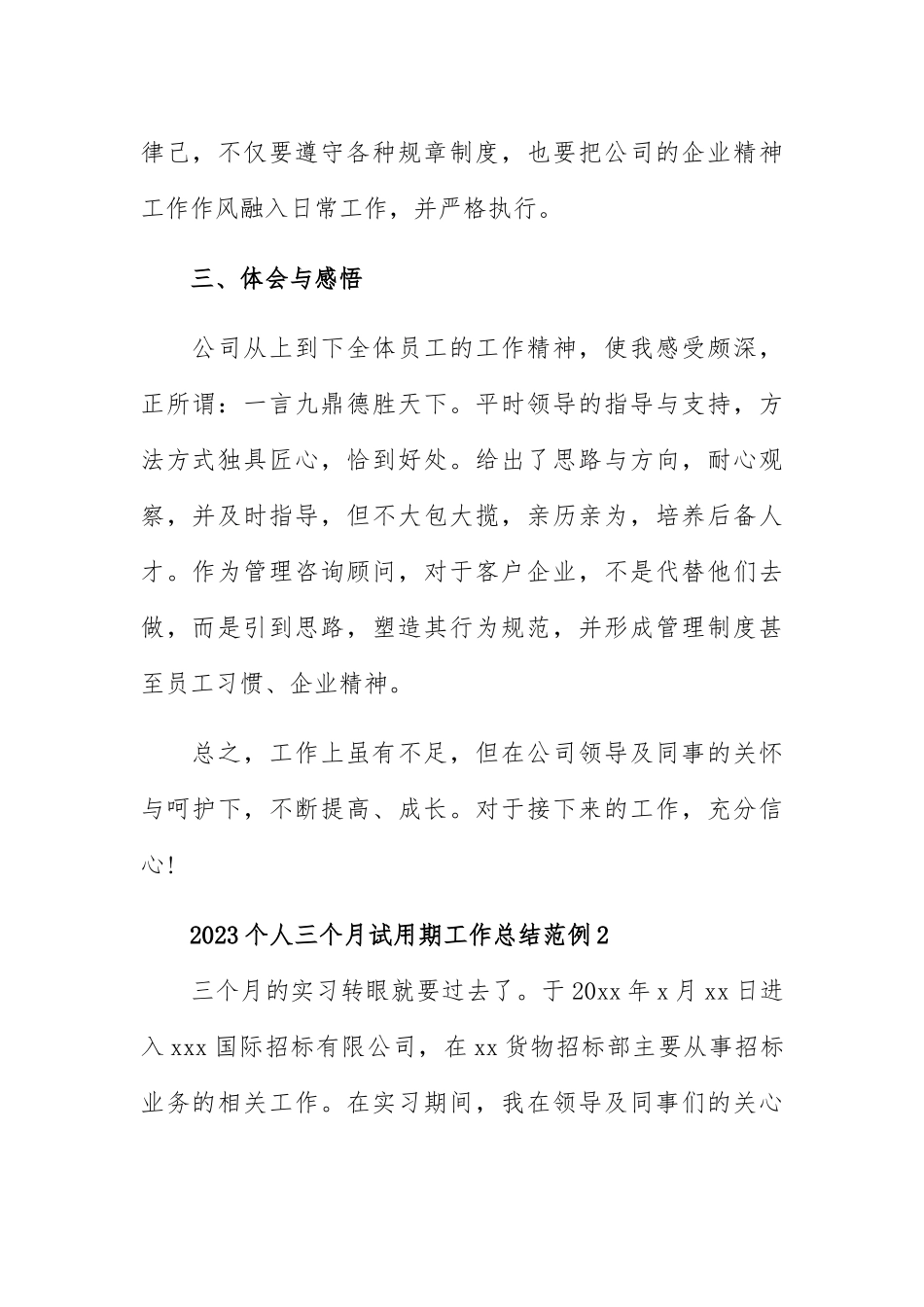 2023个人三个月试用期工作总结范例.docx_第2页