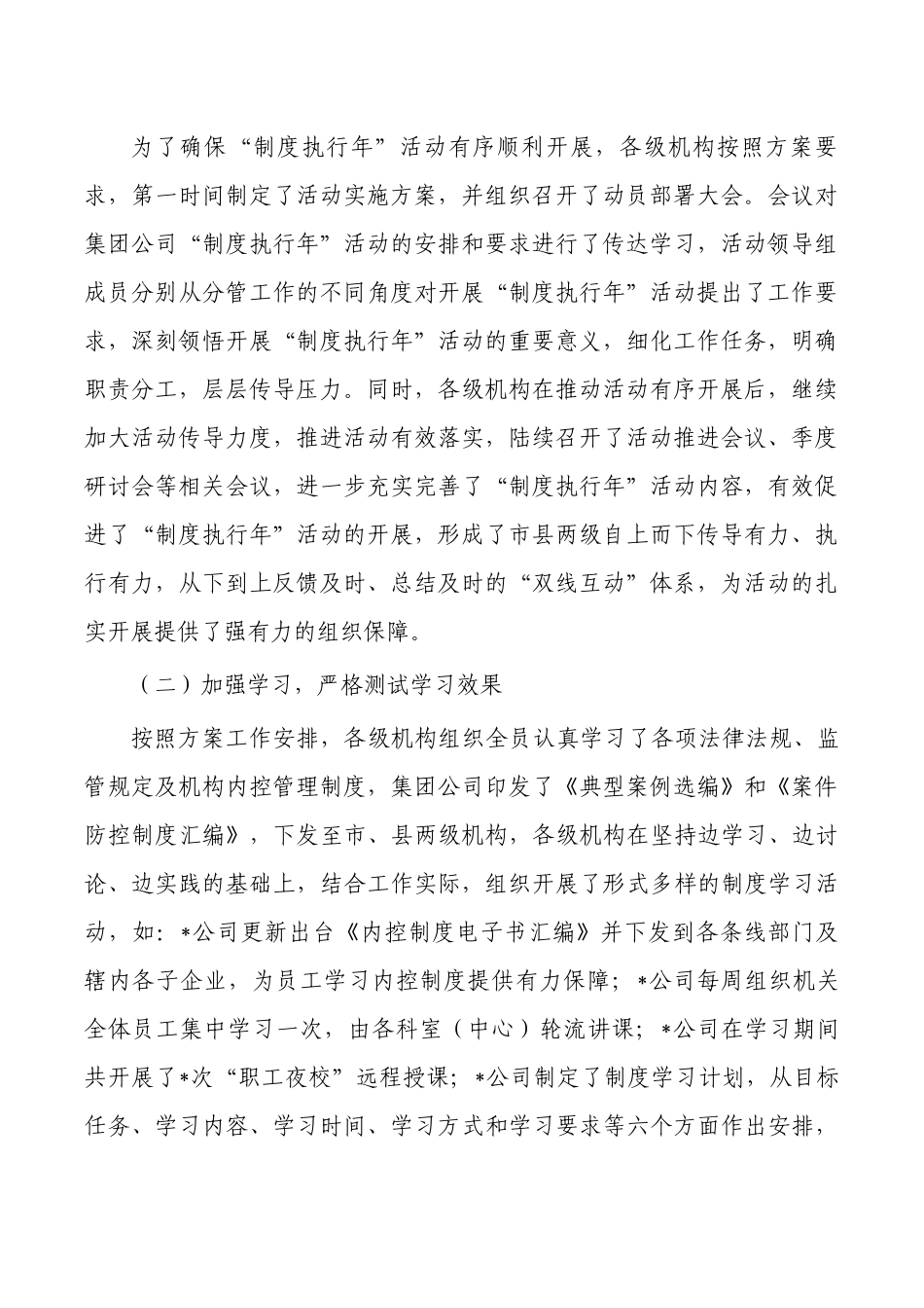 集团公司制度执行工作总结.docx_第2页