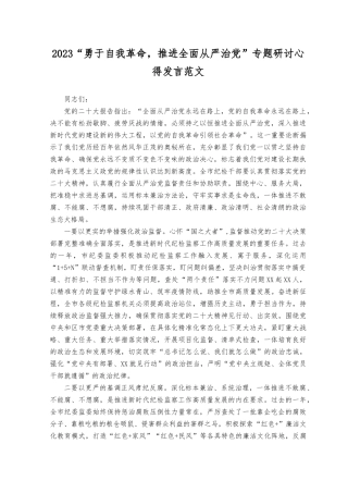 （13篇）2023年“勇于自我革命推进全面从严治党”专题研讨心得发言.docx
